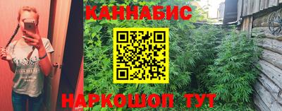 МДПВ Можга